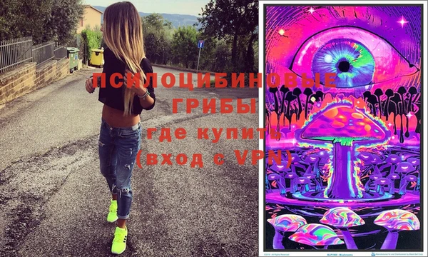 мдпв Армянск